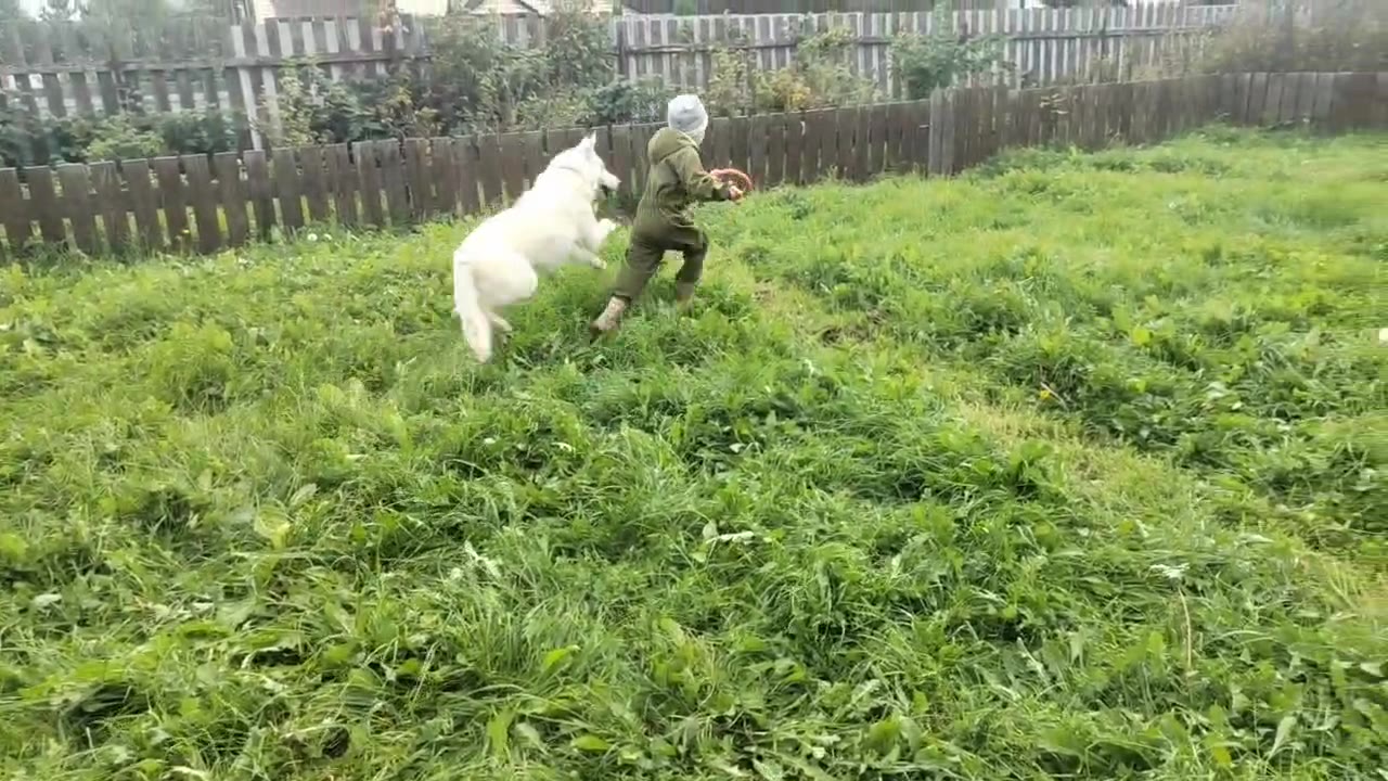 Альбус, доп. видео 4