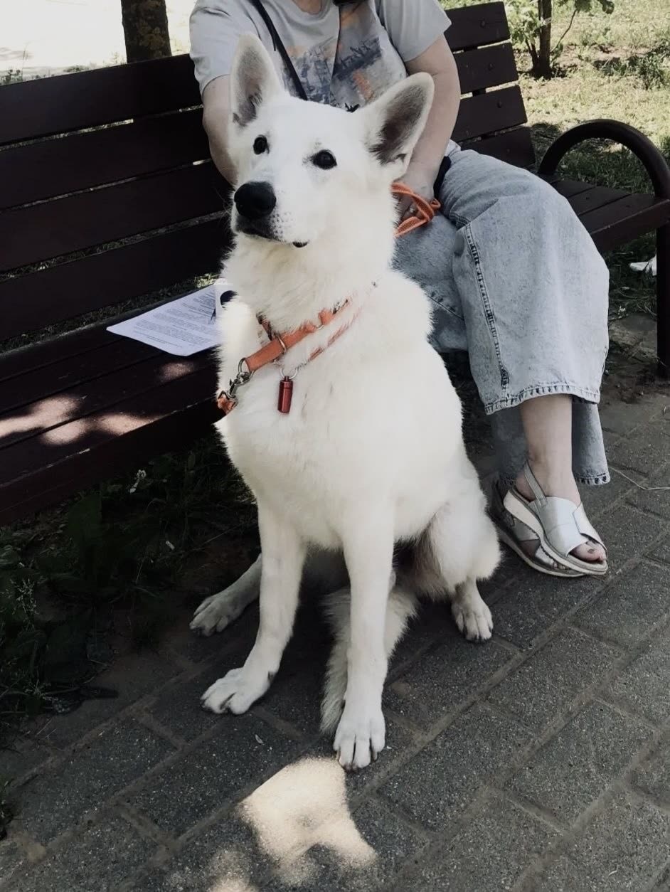 Фото Бим