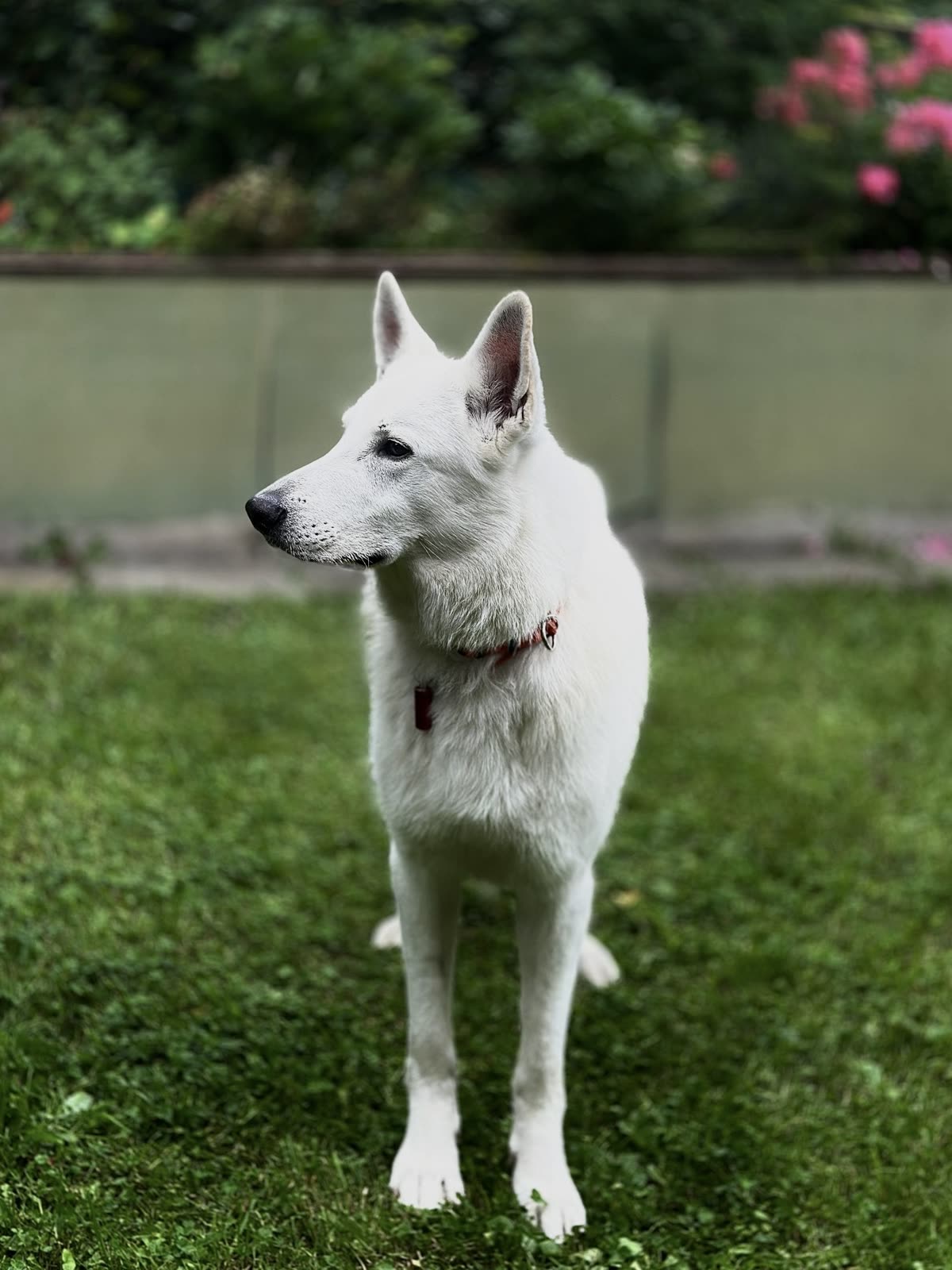 Фото Бим