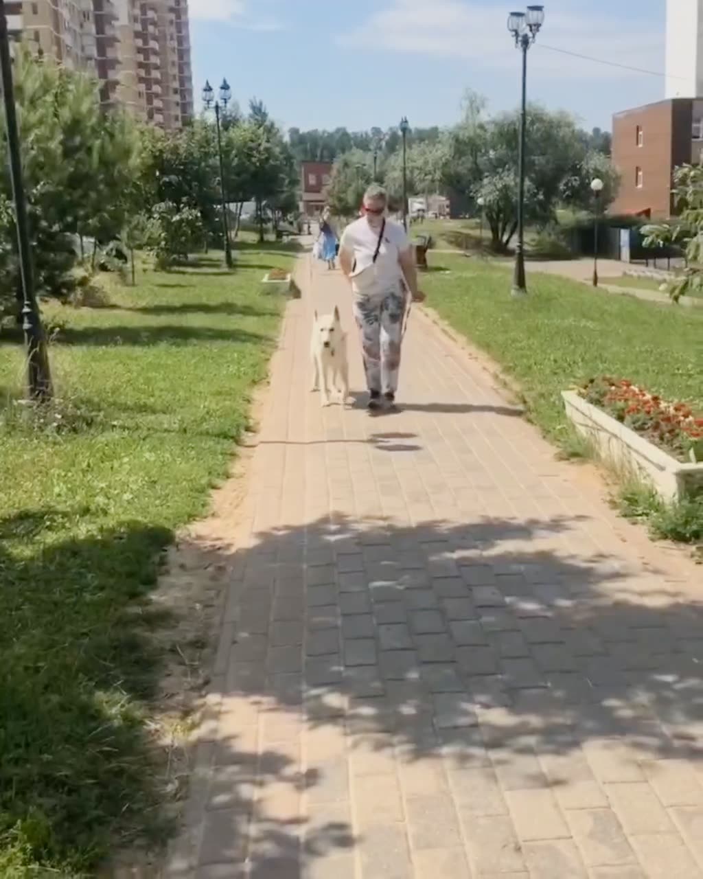 Видео Бим