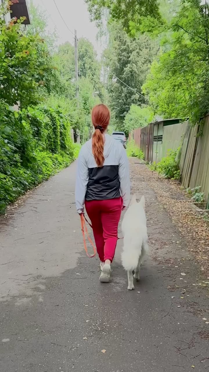 Видео Бим