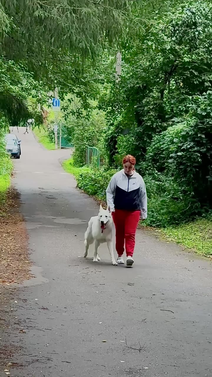 Видео Бим
