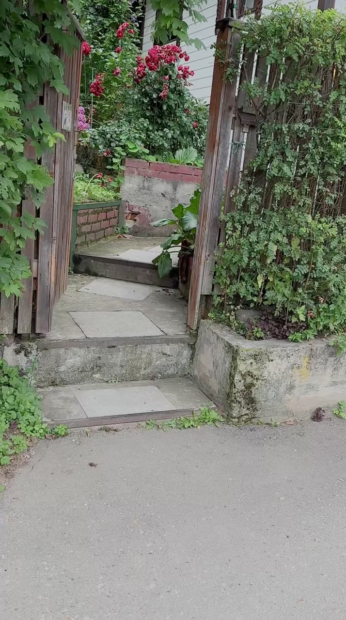 Видео Бим