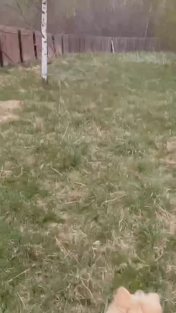 Видео Джесс