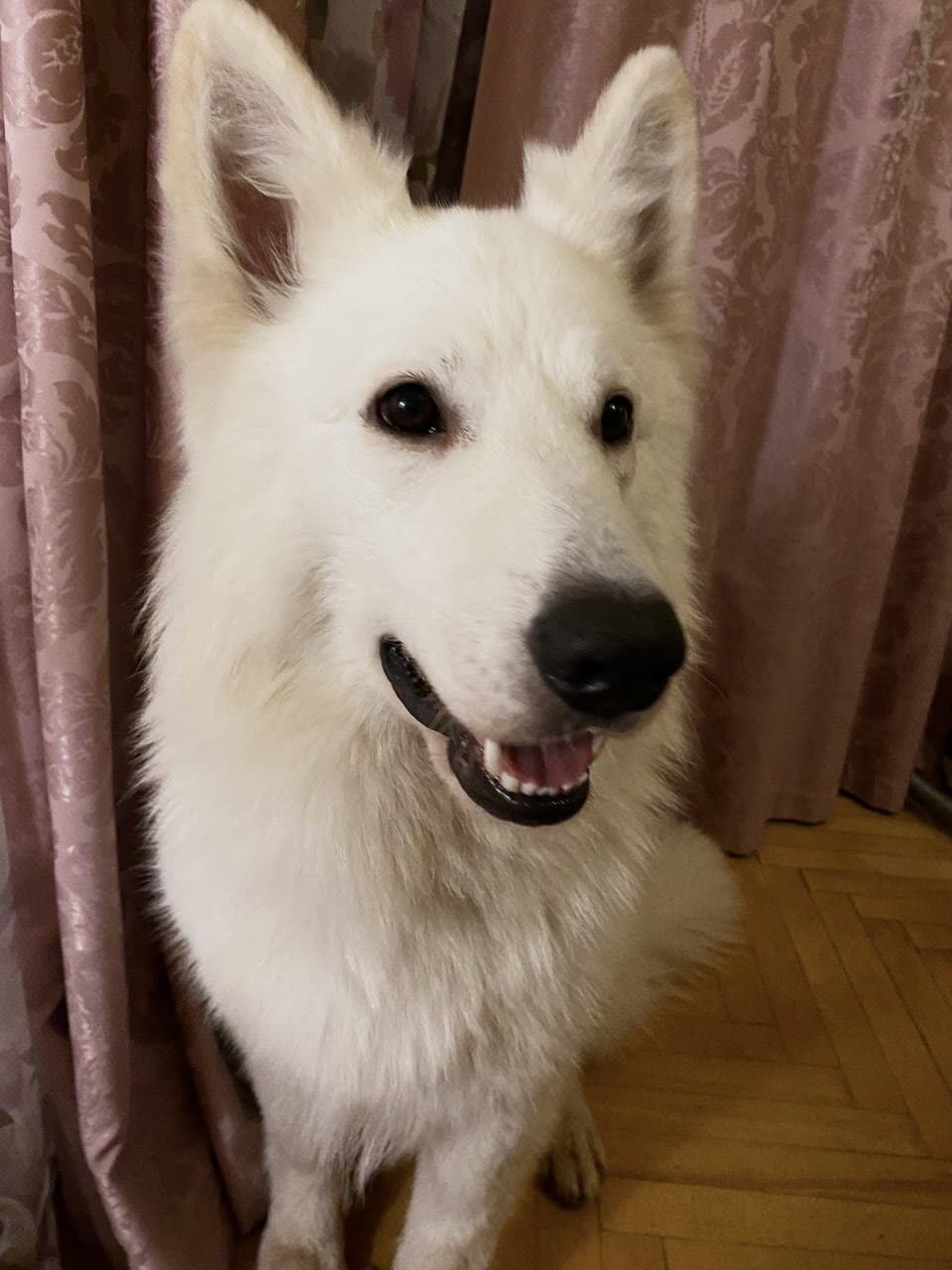 Фото Лорд