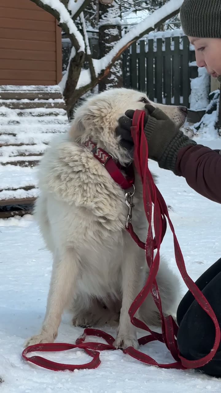 Видео Мони